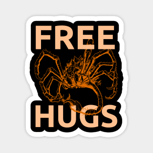 BFS - Free Hugs! Orange Magnet