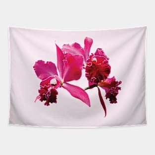 Magenta Orchids Tapestry
