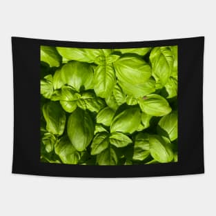 Basil for You! Tapestry