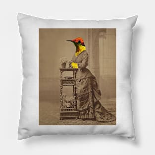 Lady of Hummingbird Pillow