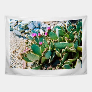 Arizona cactus color photograph Tapestry