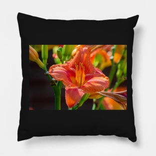 Regent Square Day Lily 2019 Pillow