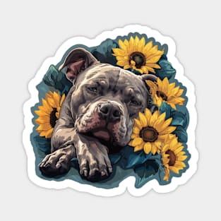 American Bully Magnet