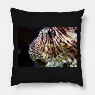LION FISH Pillow