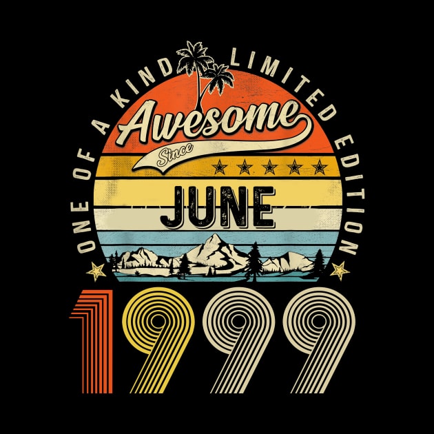 Awesome Since June 1999 Vintage 24th Birthday by Benko Clarence