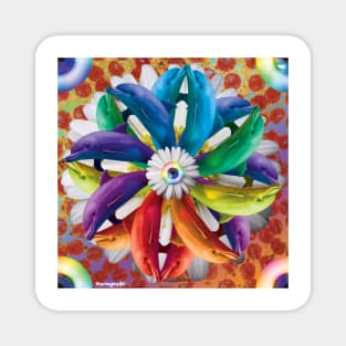 Rainbow Dolphin Pin Wheel Pizza Explosion Magnet