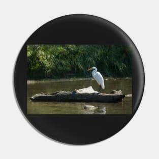 Great White Egret Pin