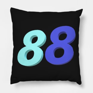 Three Dimensional Eighty Eights Pillow