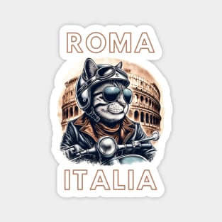 Cool scooter cat in Rome Magnet