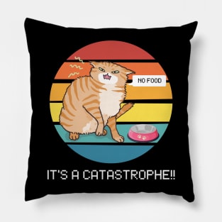 It's a catastrophe!! Pillow