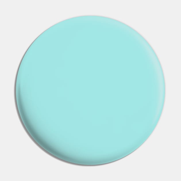 Tiffany Blue Pin by NewburyBoutique