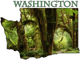 Washington State Outline (Olympic National Park & Forest) Magnet