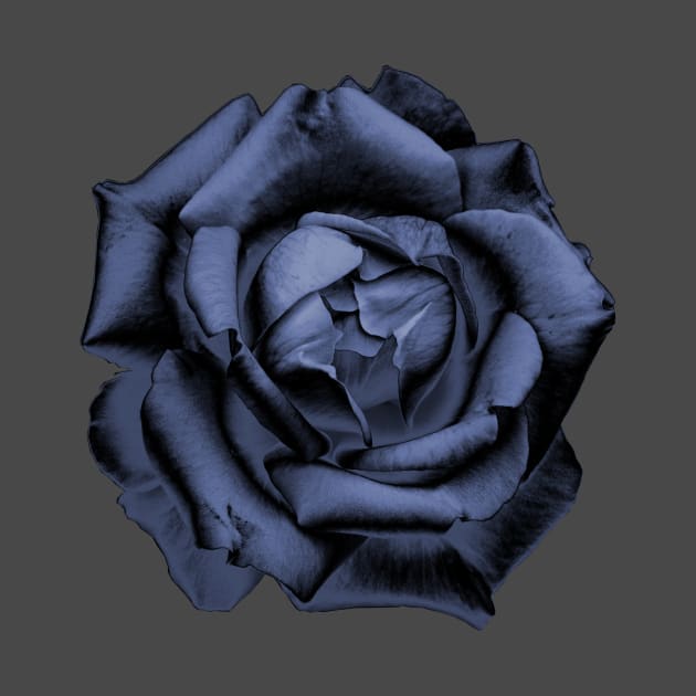 Blue Charcoal Rose by nautilusmisc