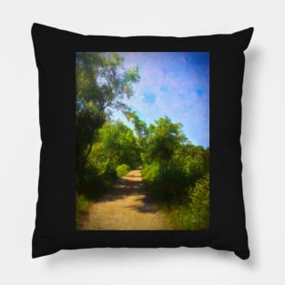 Georgia Bike Road Pillow