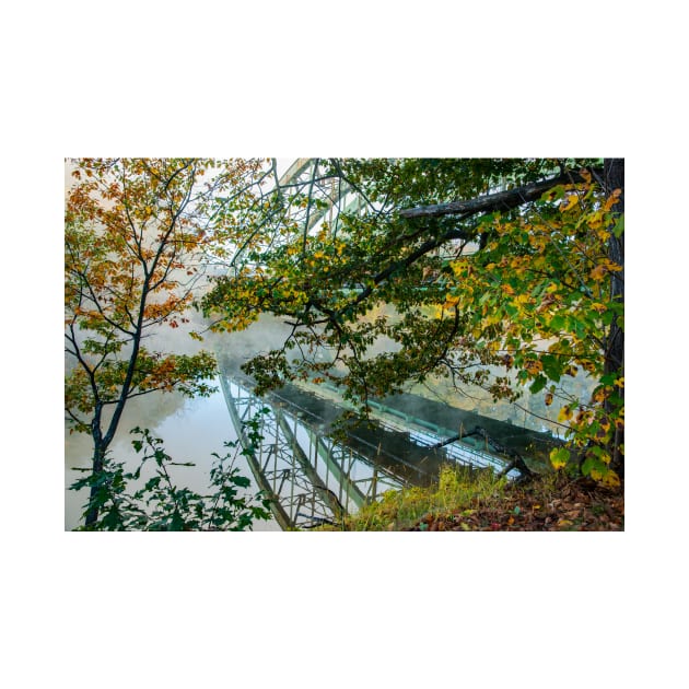 Route 9 Bridge over and reflected through trees and early morning by brians101