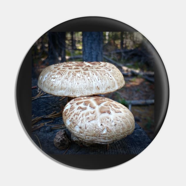 Mushrooms Pin by Rebekah Slick