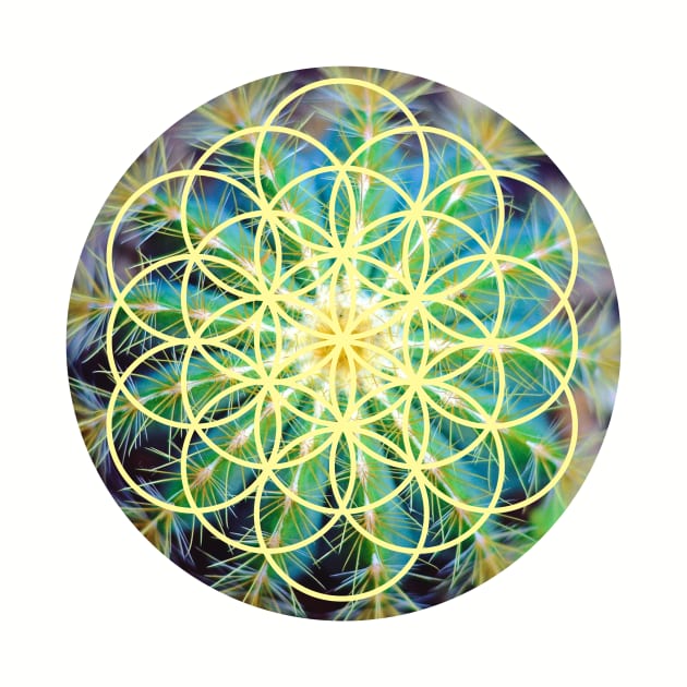 Sacred geometry by munchi