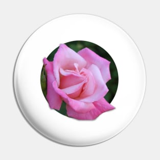 Pink Rose Pin