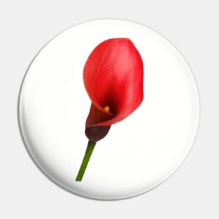 Striking Red Calla Lily for Flower Lovers Pin