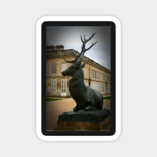 French stag Magnet