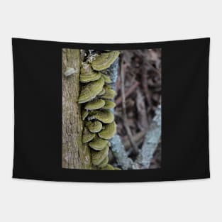 mushrooms Tapestry