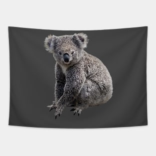 Koala Tapestry