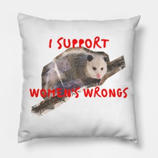 I support womens wrongs Pillow