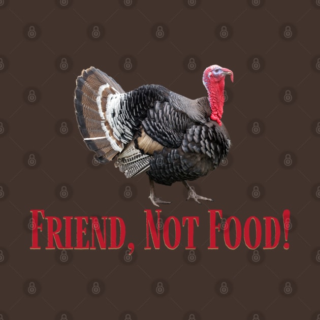 Turkeys Make Great Friends and Friends are NOT Food! by TJWDraws