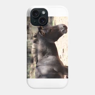 Closeup of Mule - Arizona Phone Case