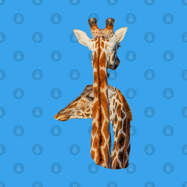 Giraffe I have got yoiur back! by dalyndigaital2@gmail.com