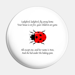 Ladybird Ladybird nursery rhyme Pin