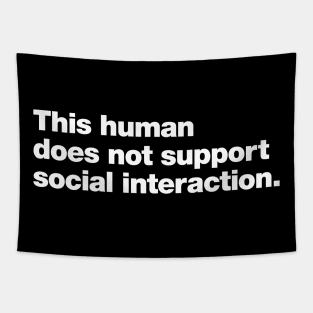 This human does not support social interaction. Tapestry