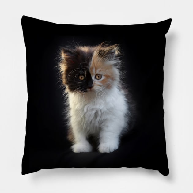 You can tell me you've met cuter than me, but I don't know if I'll believe you... Pillow by micklyn