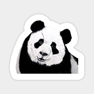 Panda No. 2 Magnet