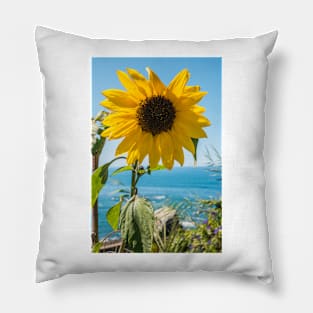 Sunflower field. Sunflower with blue sky and the sea in backgorund. Summer background, bright yellow sunflower over blue sky. Landscape with sunflower field over cloudy blue sky. Pillow