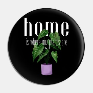 home is where my plants are Pin