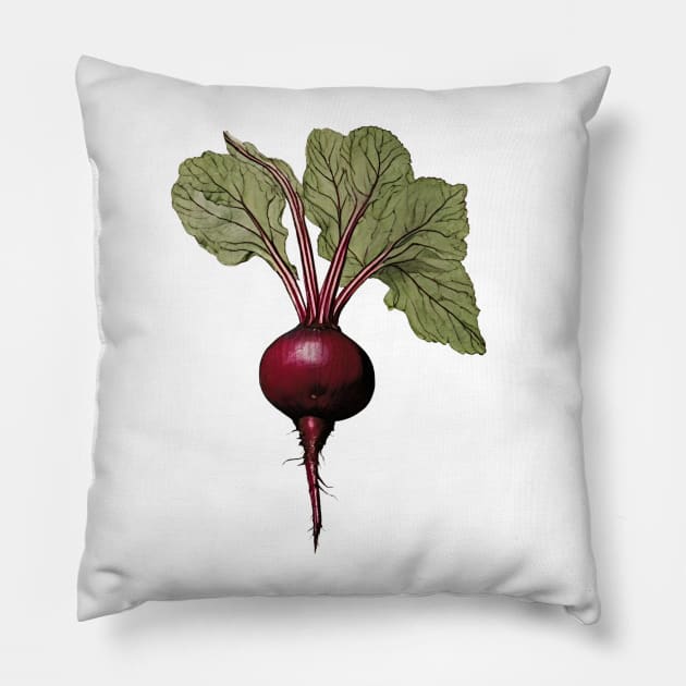 Beet Pillow by Xie