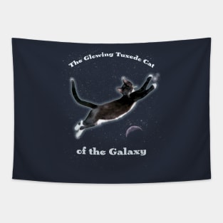 The Glowing Tuxedo Cat of the Galaxy Tapestry