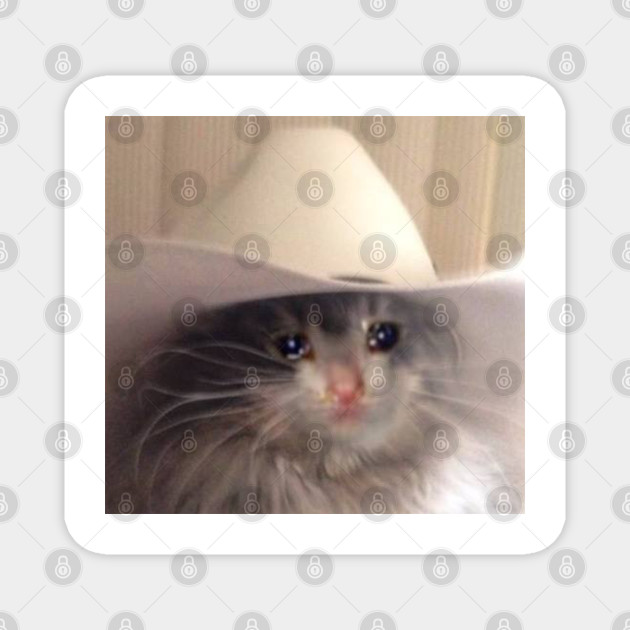 Sad Cat Cowboy Hat Meme Funny Internet Viral Joke Pun Gift Sad