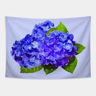 Cluster of Blue Hydrangea Tapestry