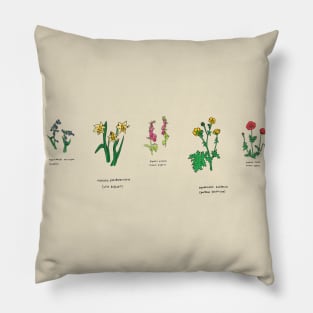 Wildflower illustration Pillow