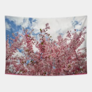 Wild pink cherry Tapestry