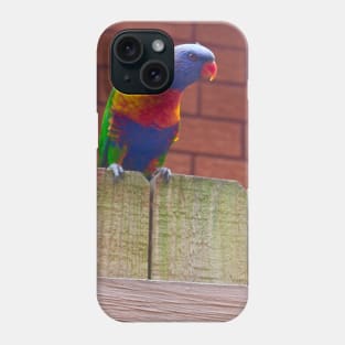 The Rainbow Lorikeet! Phone Case