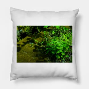 Moss & Miterwort Pillow