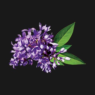 Lilacs - Cluster of Purple Lilacs T-Shirt