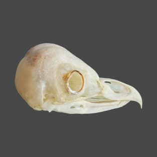 Barn owl Skull T-Shirt