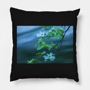 Dogwoods Pillow