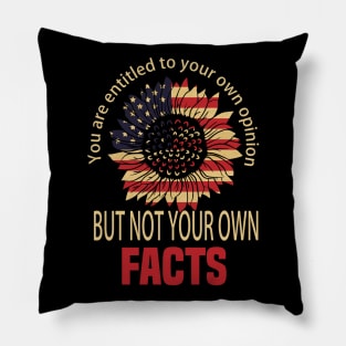 You are entitled to your own opinion but not your own facts. vp debate quote Pillow