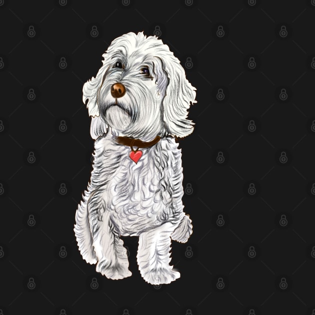 Cavapoo Cavoodle  Cavapoochon white monochrome   - cute cavalier King Charles spaniel Bichon frise by Artonmytee