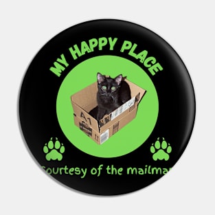 Black Cat in Box Pin